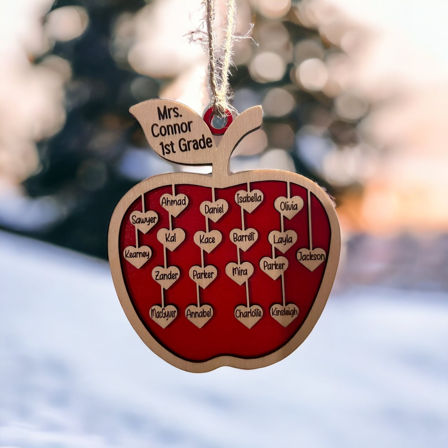 Teacher Appreciation Gift, Ornament for Teacher, Gift from Students,Teacher Christmas Gift, Class List, Unique/End of Year Teacher Gift