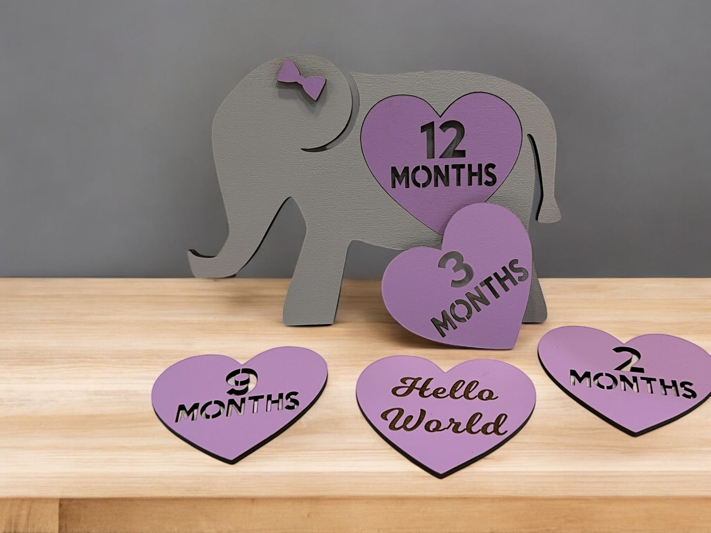 Personalized Elephant Baby Milestone Set - Custom Monthly Photo Props