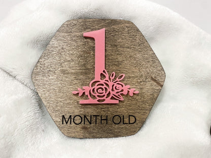 Wood Baby Monthly Milestone, Baby Shower Gifts, Gift for New Mom, Monthly Markers, Custom Milestones, New Baby Gift, Personalized Gifts