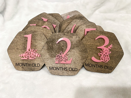 Wood Baby Monthly Milestone, Baby Shower Gifts, Gift for New Mom, Monthly Markers, Custom Milestones, New Baby Gift, Personalized Gifts