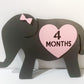 Interchangeable Elephant Baby Milestones, Personalized Baby Milestones, Custom Milestones, Monthly Countdowns, Baby Gifts, Baby Shower Gift
