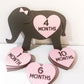 Interchangeable Elephant Baby Milestones, Personalized Baby Milestones, Custom Milestones, Monthly Countdowns, Baby Gifts, Baby Shower Gift