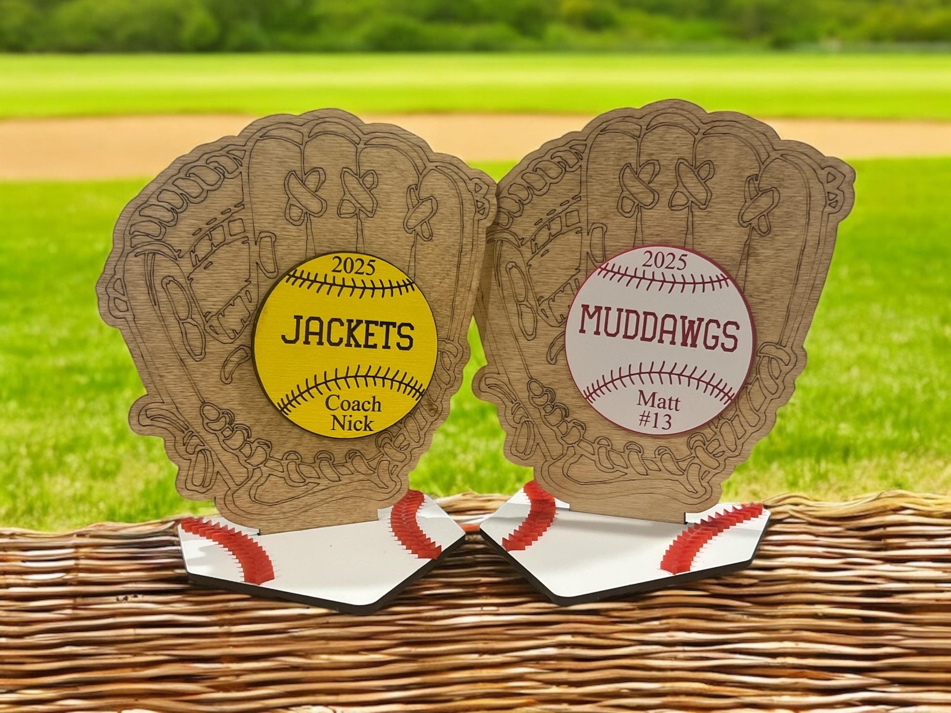 Custom Baseball Sign, Baseball Trophy, Softball Trophy, Personalized Baseball/Softball Gifts, End of Season Awards,Baseball Decor,Coach Gift